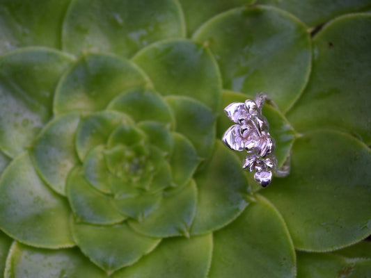 Succulent Ring