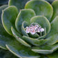 Succulent Ring