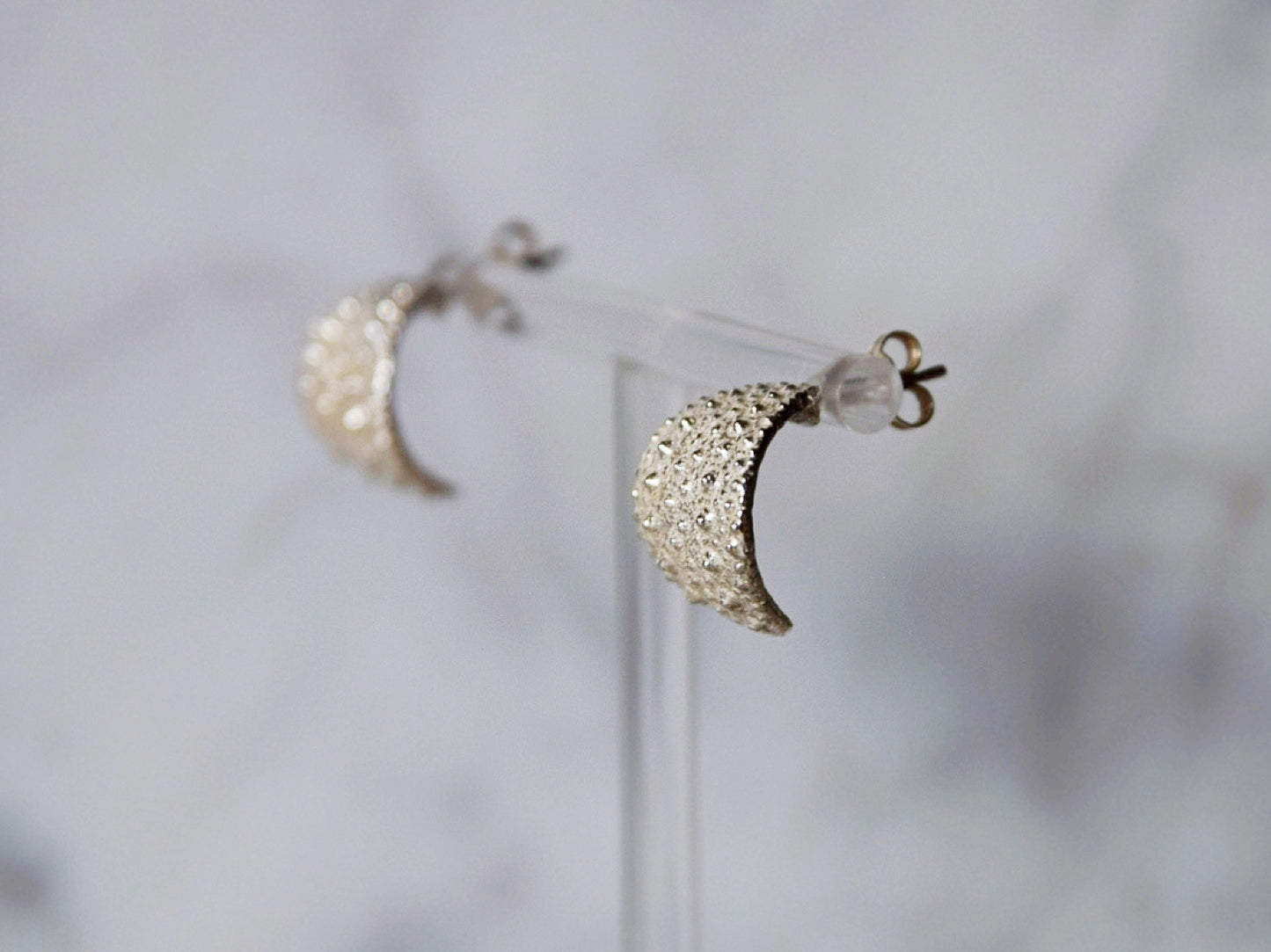 Sea Urchin Kina Earring Hoops