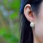 Sea Urchin Kina Earring Hoops