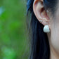 Sea Urchin Kina Earring Hoops