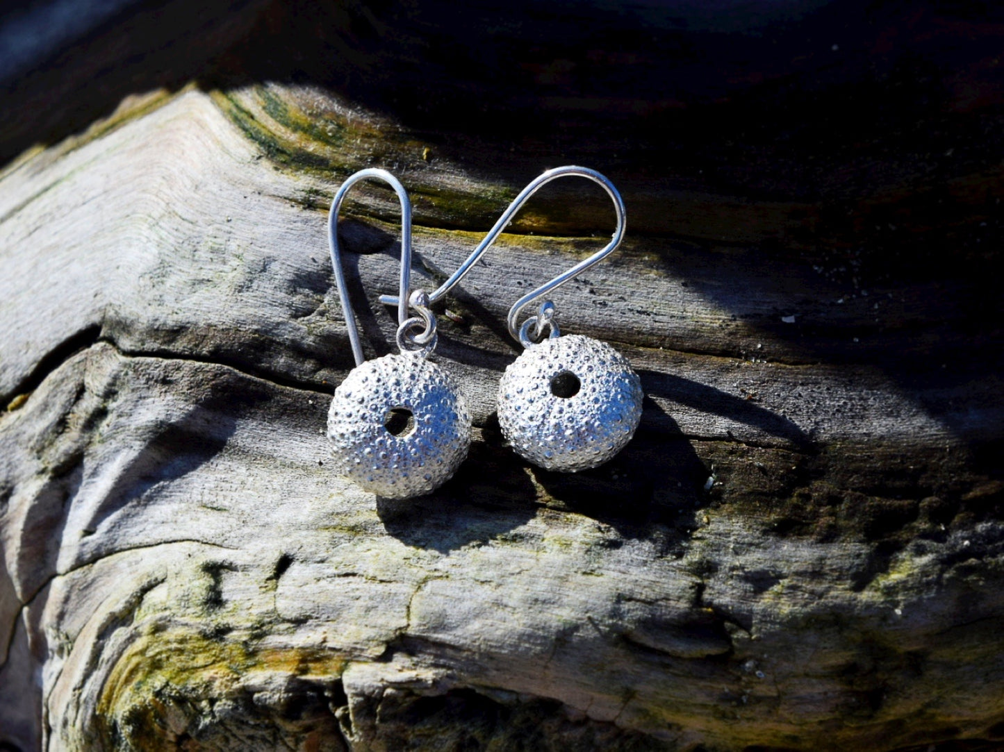 Sea Urchin Kina Earrings