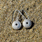 Sea Urchin Kina Earrings