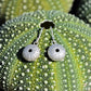 Sea Urchin Kina Earrings