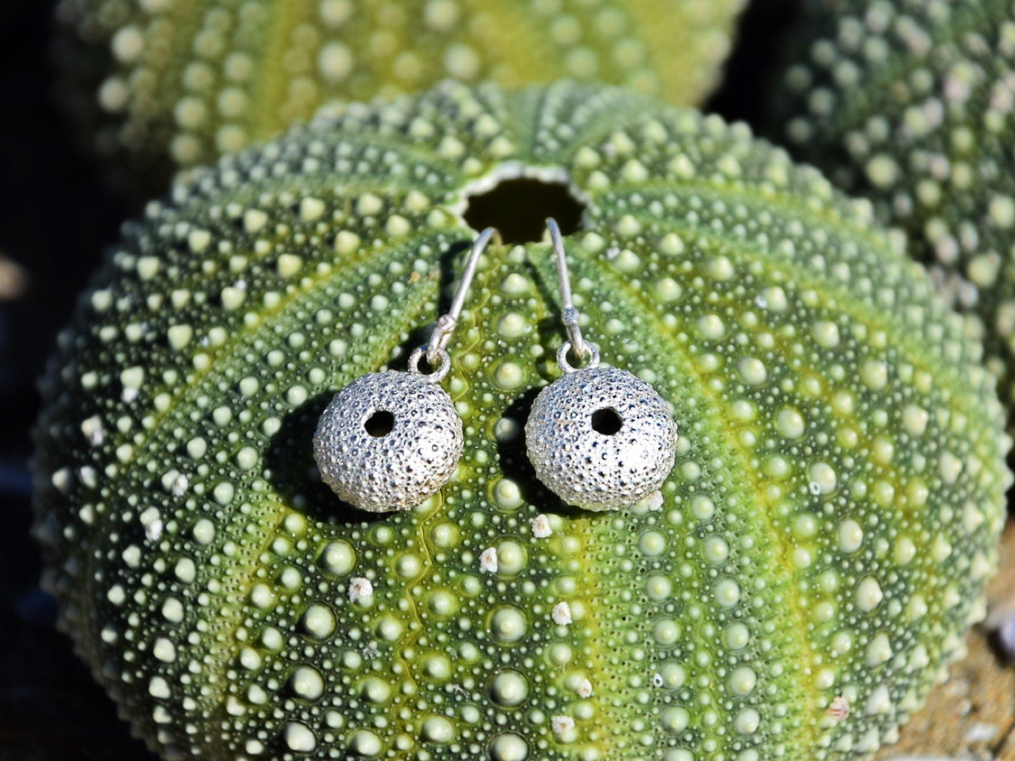 Sea Urchin Kina Earrings