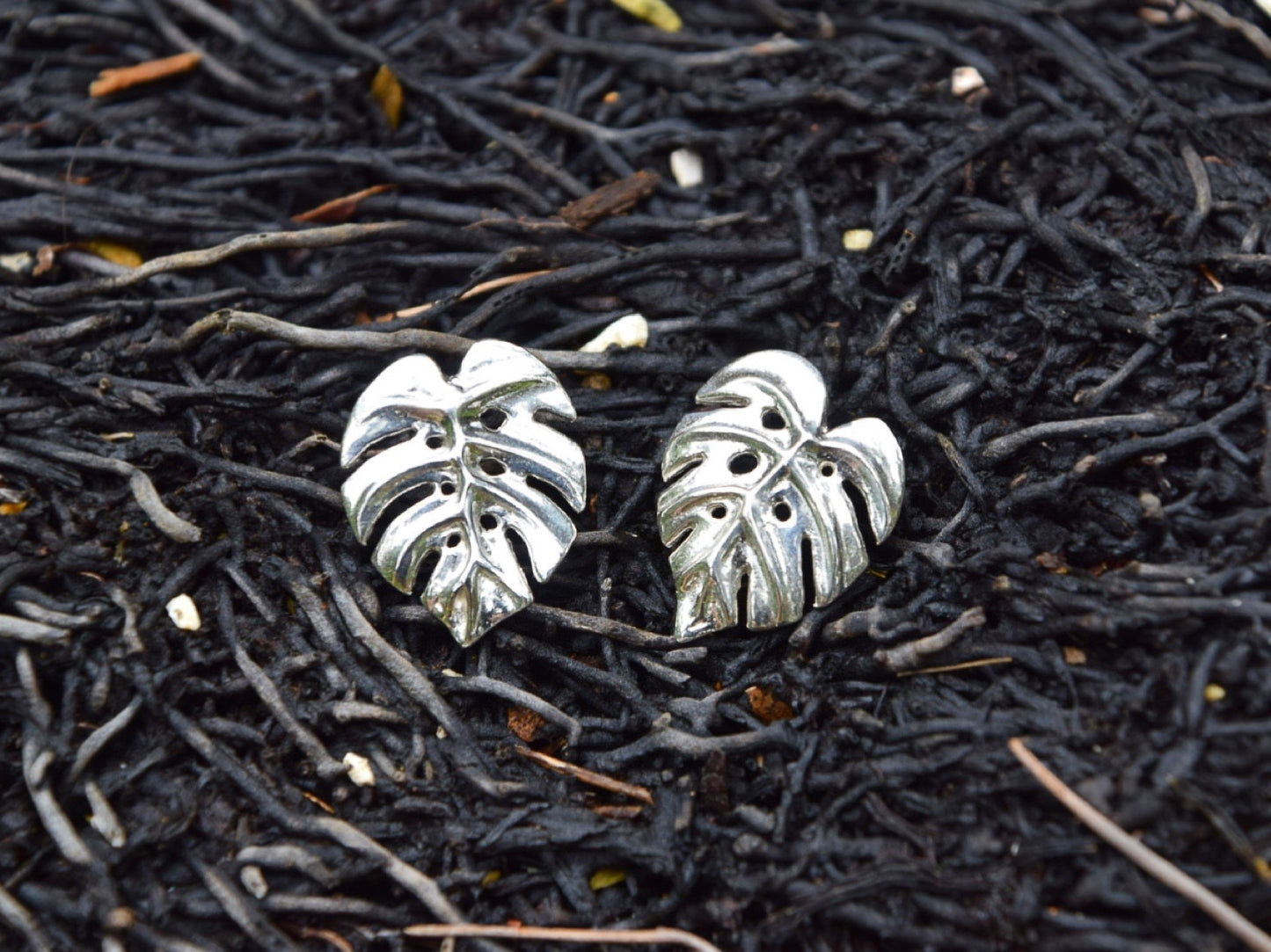 Monstera Deliciosa Earrings