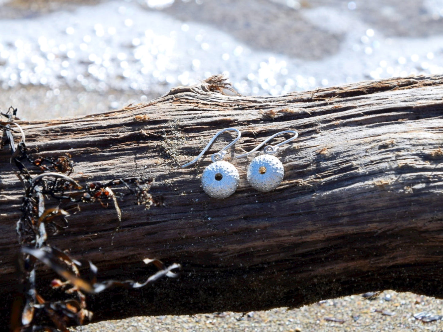 Sea Urchin Kina Earrings