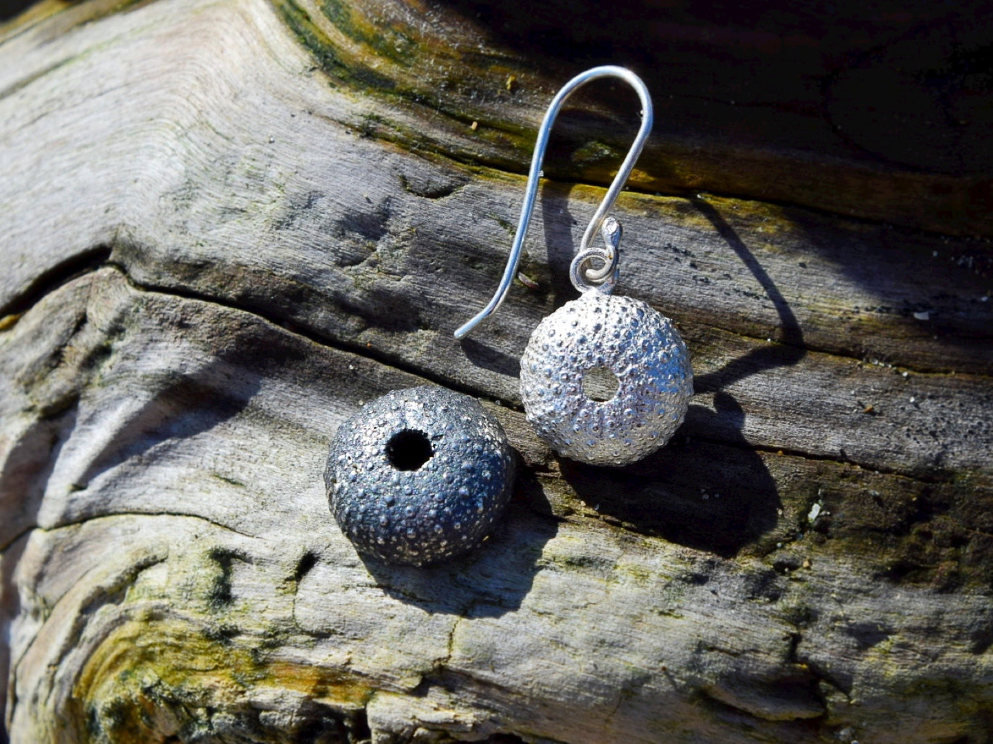 Sea Urchin Kina Earrings