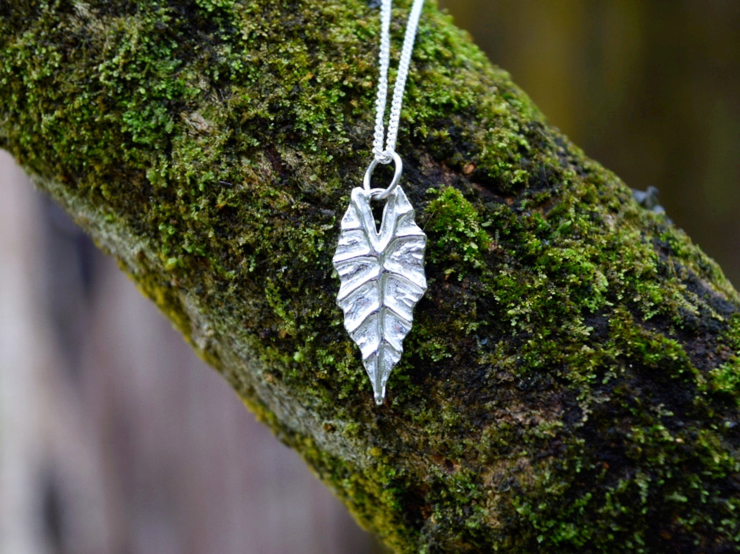 Alocasia Pendant