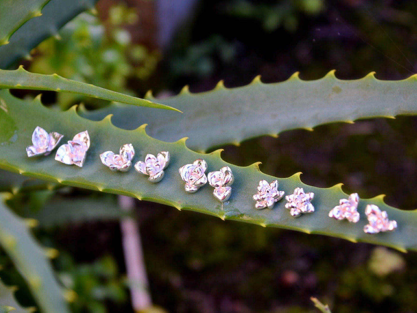 Succulent Earrings