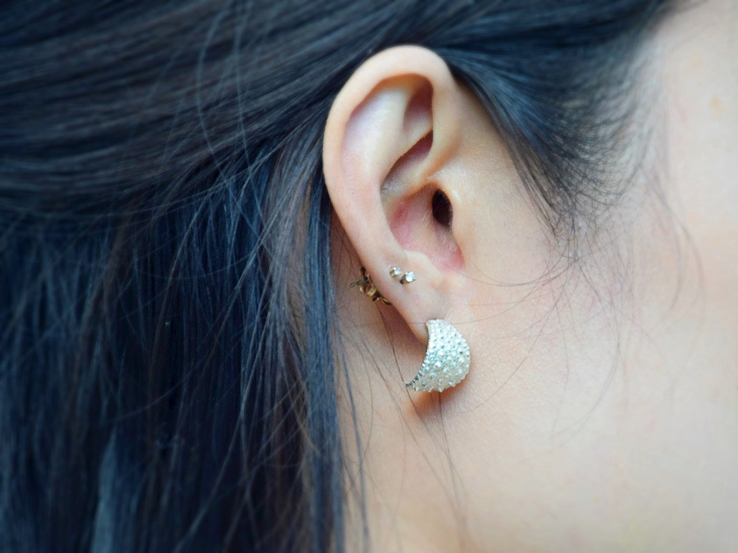 Sea Urchin Kina Earring Hoops