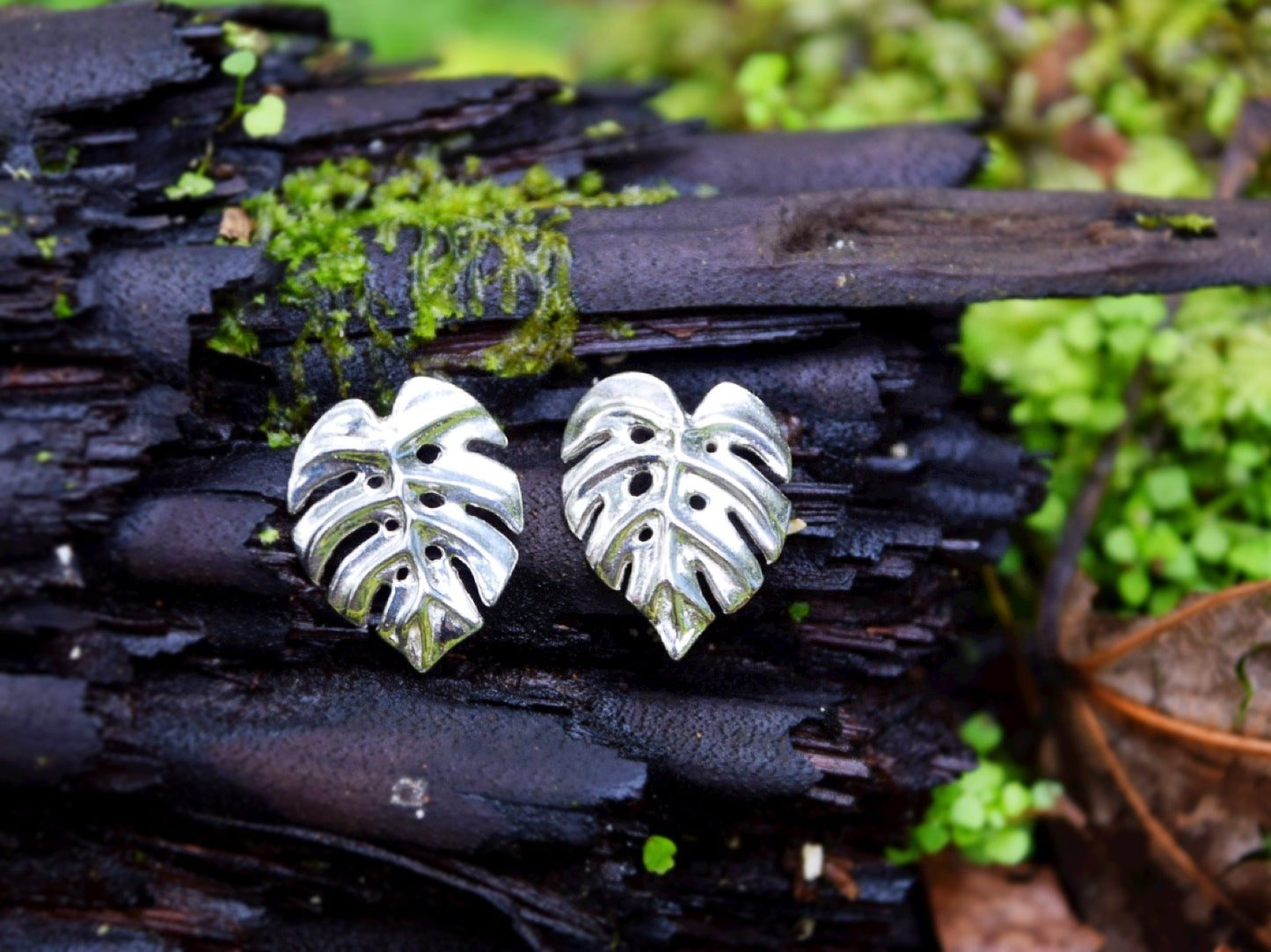 Monstera Deliciosa Earrings