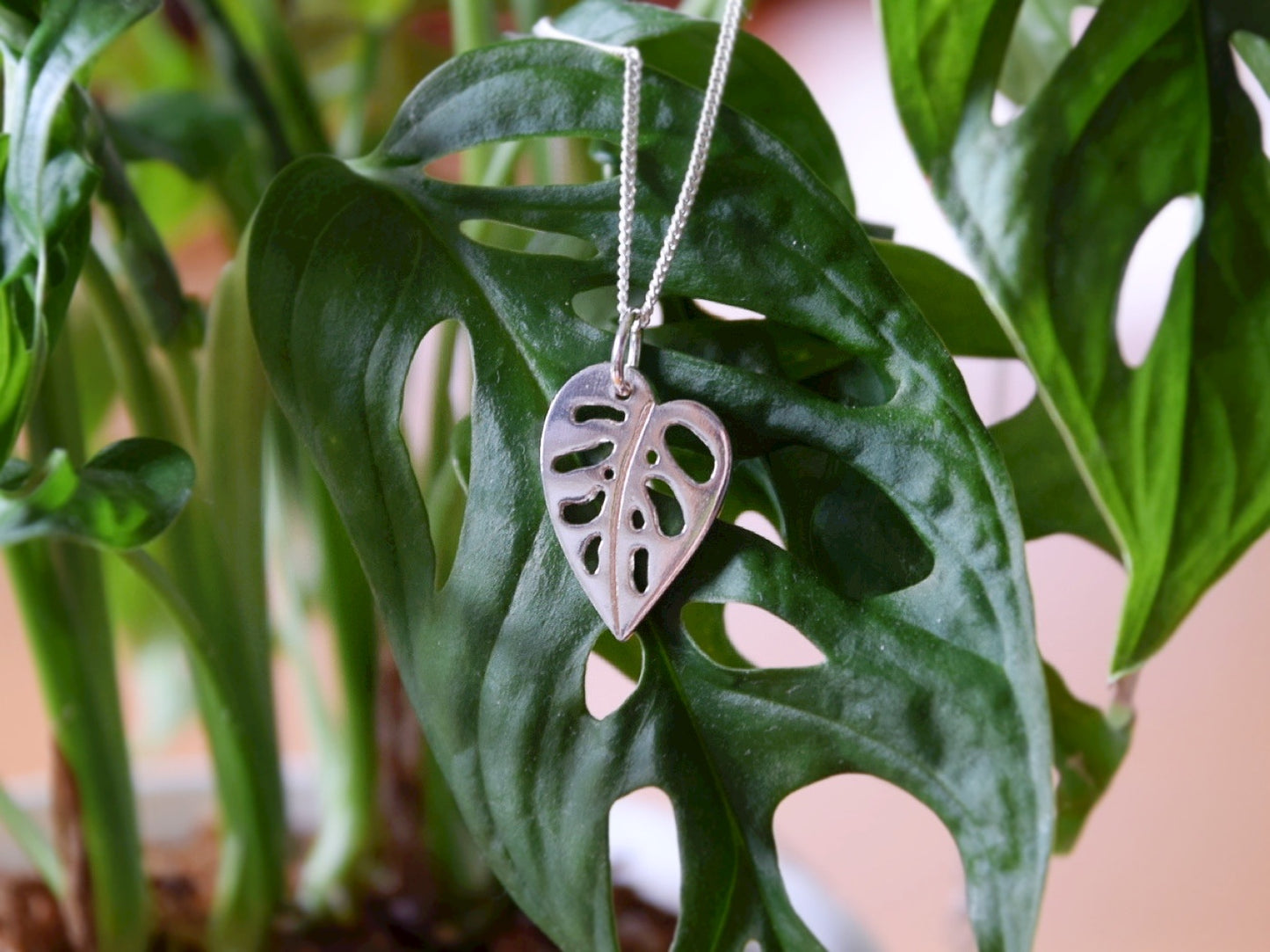 Monstera Adansonii Pendant