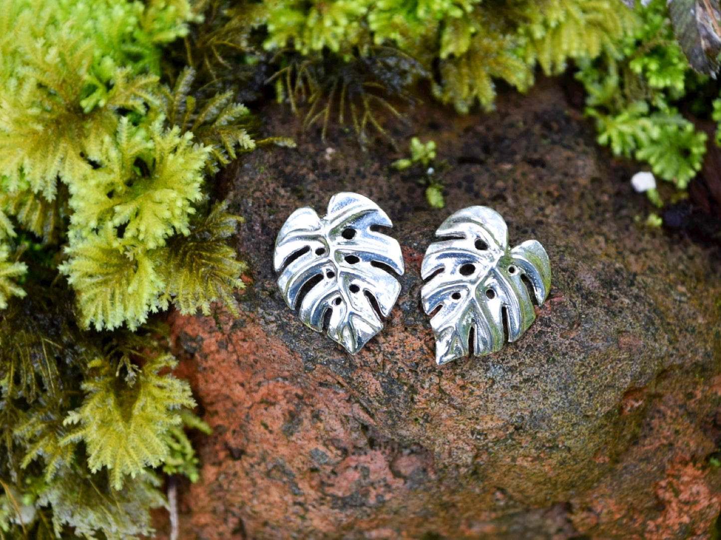 Monstera Deliciosa Earrings