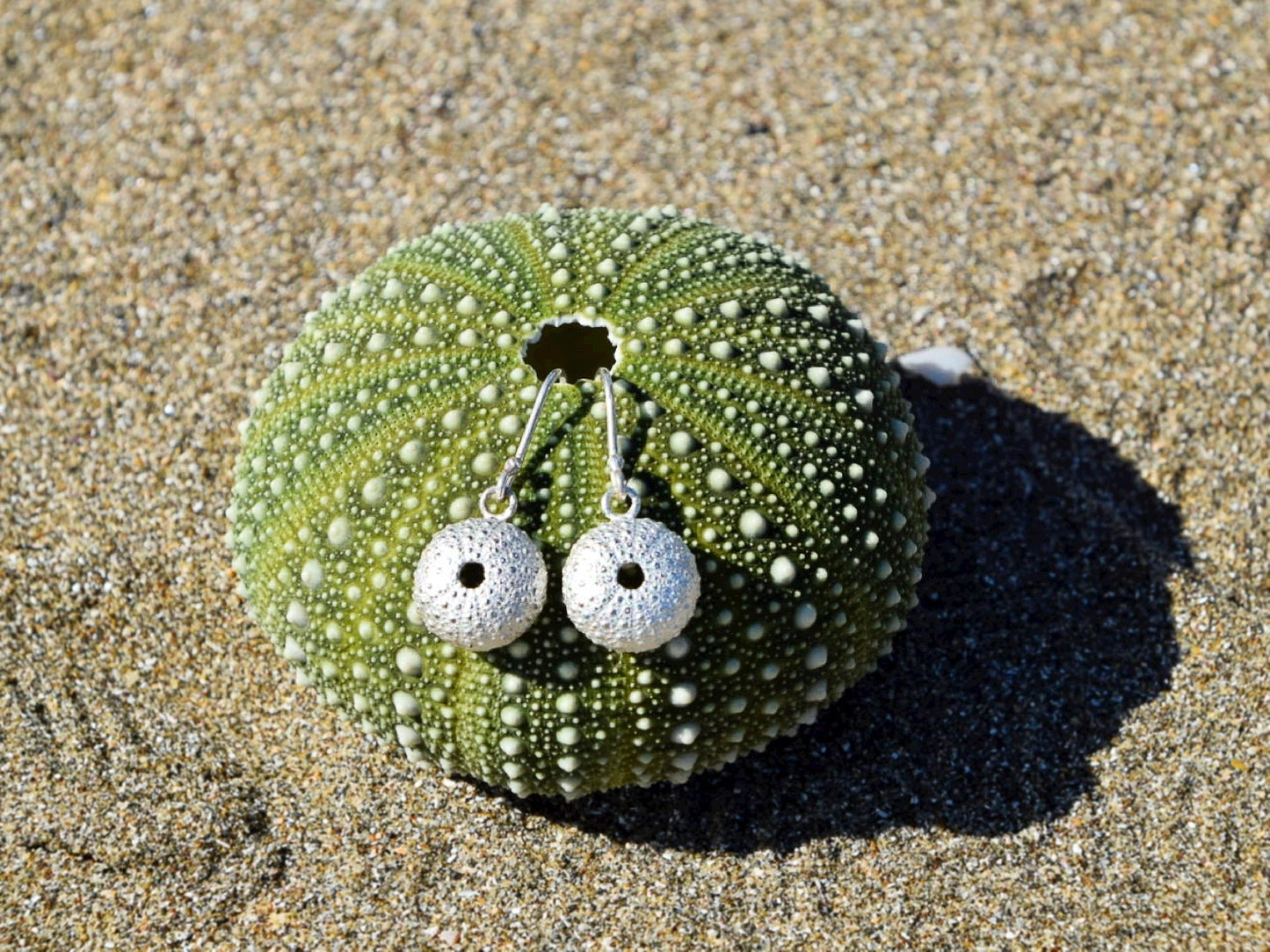 Sea Urchin Kina Earrings