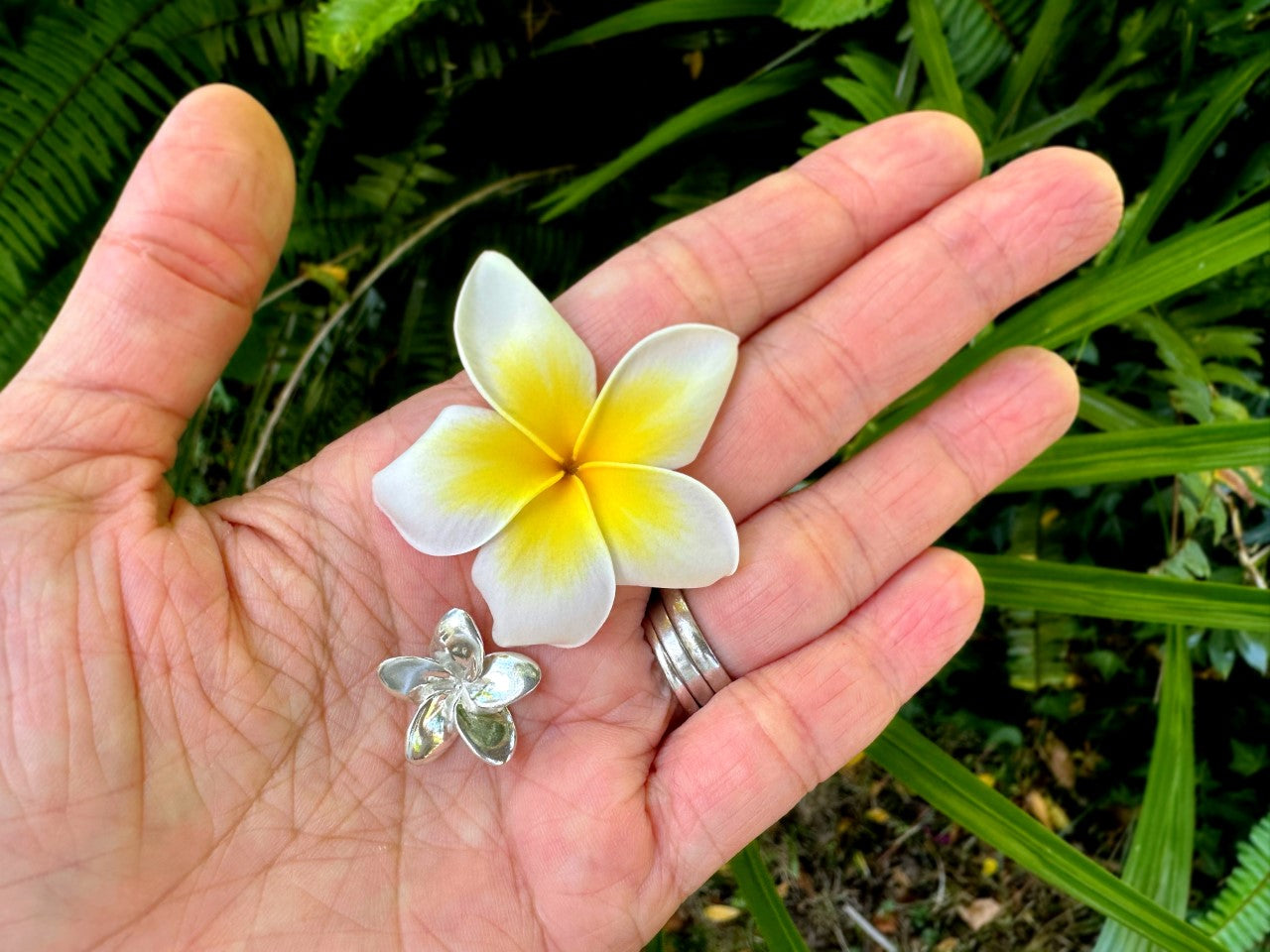 Frangipani Earrings