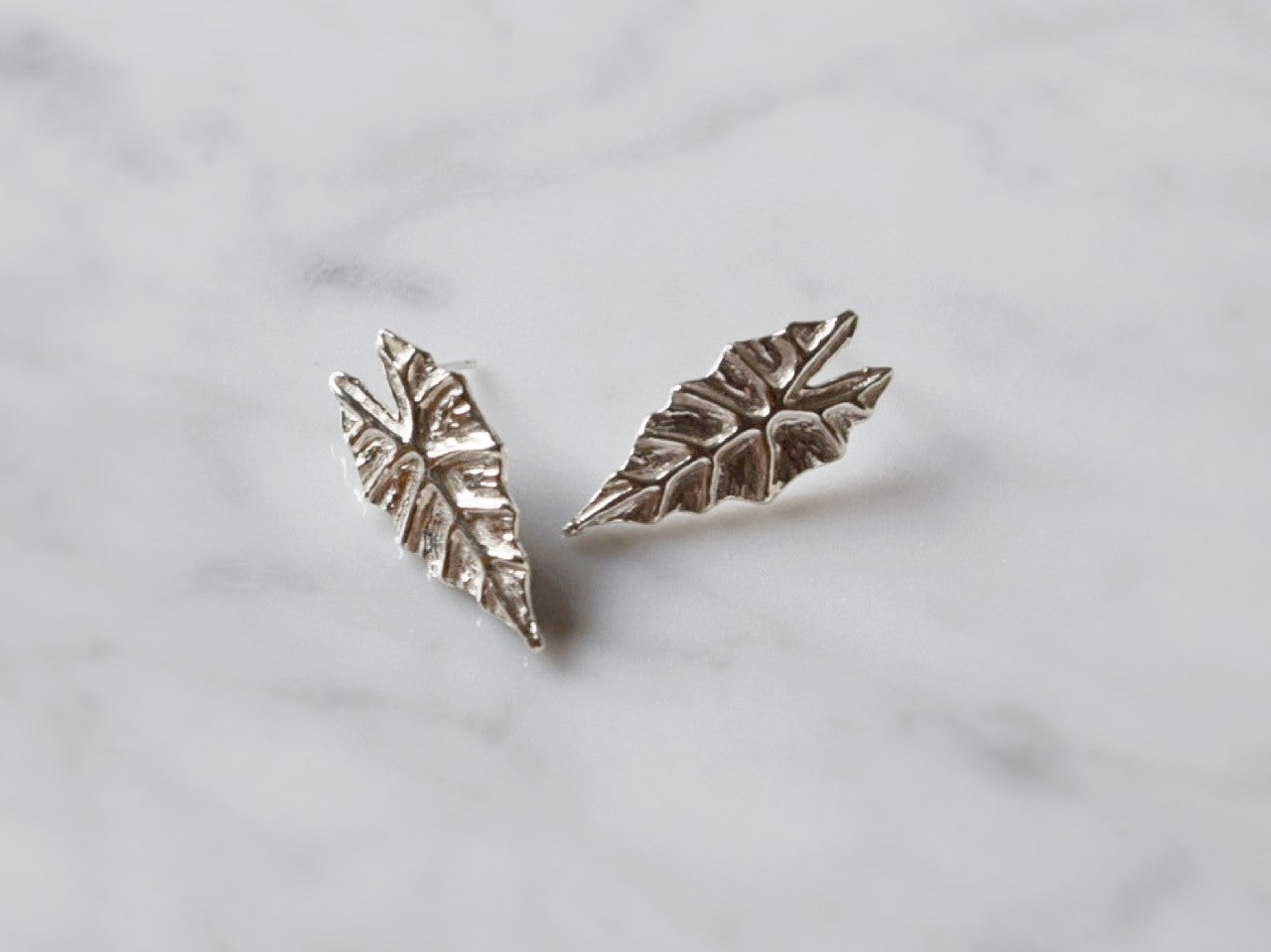 alocasia earrings indoor plant nz