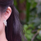 alocasia earrings indoor plant nz