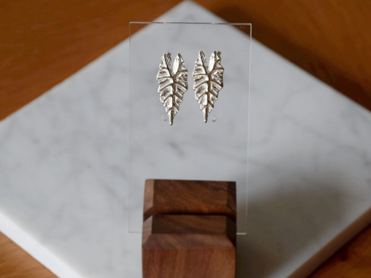 alocasia earrings indoor plant nz