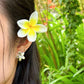 Frangipani Earrings