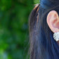 Monstera Deliciosa Earrings