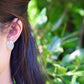 anthurium clarinervium earrings indoor plant nz