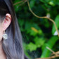 Monstera Deliciosa Earrings