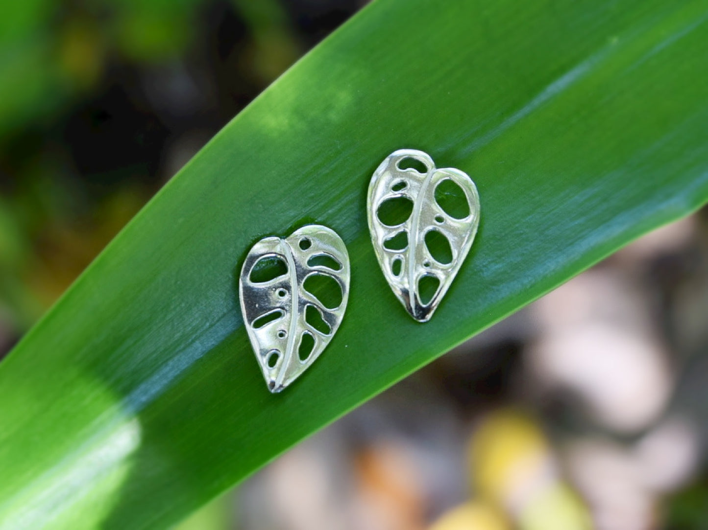 Monstera Adansonii Earrings