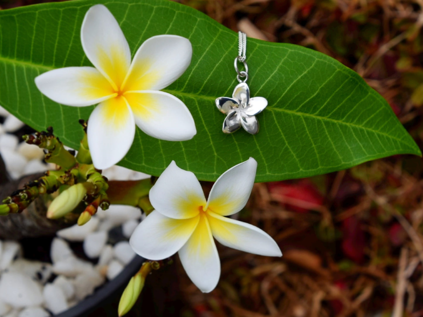 Frangipani Pendant