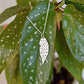 Begonia Angel Wing Pendant