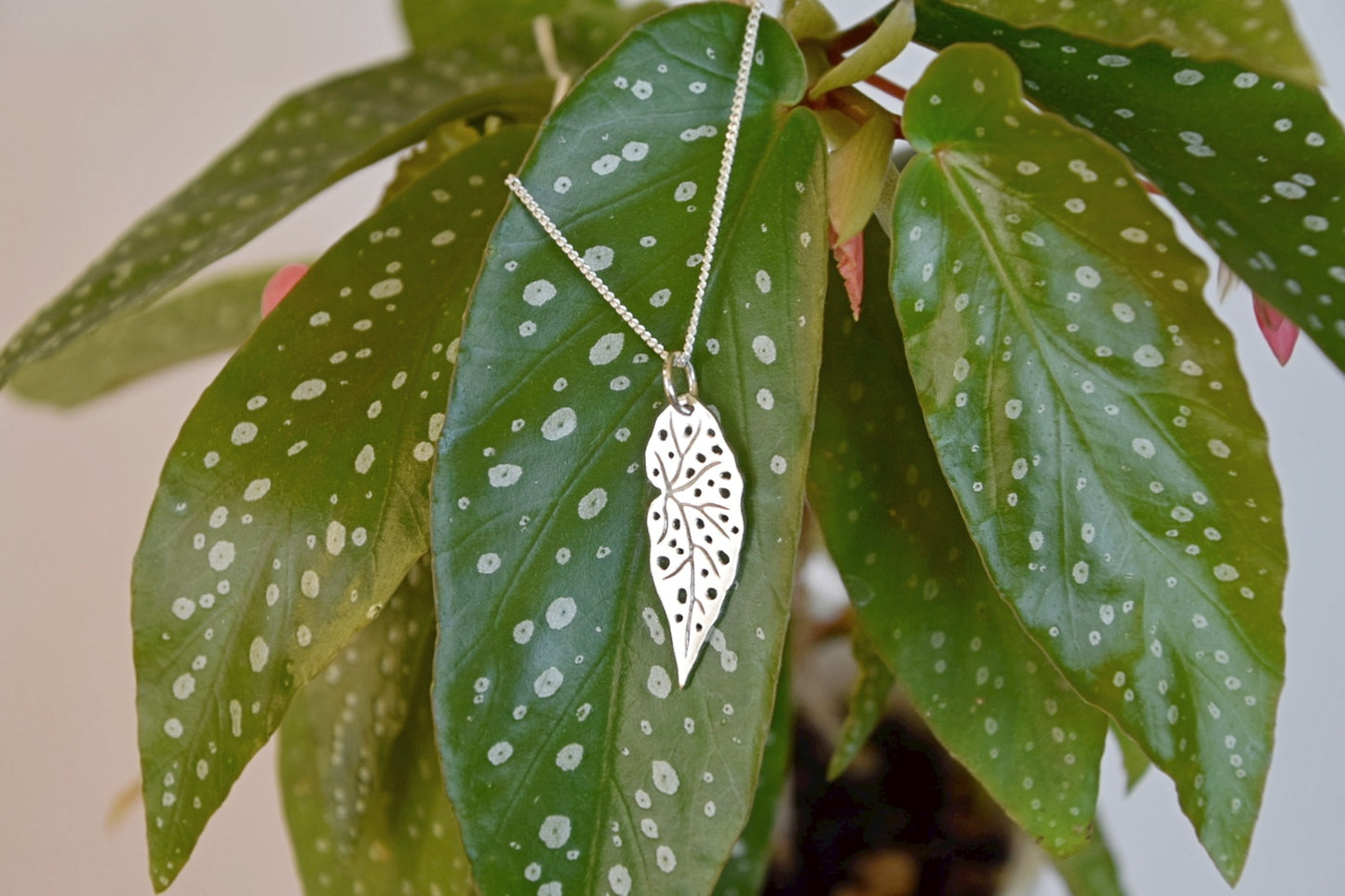 Begonia Angel Wing Pendant